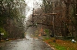 Spaghetti wires under tree